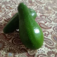 فروش عمده میوه آووکادو