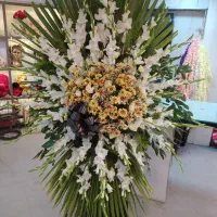 گل فروشی آنلاین قم|گل و گیاه طبیعی|قم, تولید دارو و یخچال|دیوار