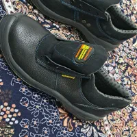 دوجفت کفش کارنوهستن