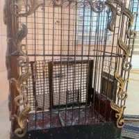 یک عدد قفس ۷۵×۹۰×۶۰ مناسب انواع طوطی|لوازم جانبی حیوانات|یزد, |دیوار
