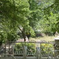 فروش باغ چهاردیواری باسند ۶ دانگ