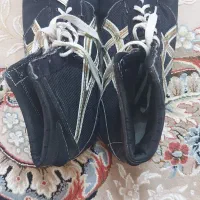 کفش کشتی