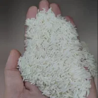 فروش برنج طارم هاشمی