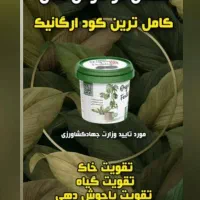 کوداورگانیگ|گل و گیاه طبیعی|شیراز, چنچنه|دیوار