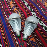 لامپ رشد گیاه ۱۲ولت