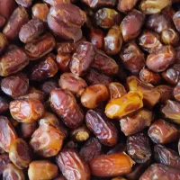 خرما|خوردنی و آشامیدنی|نیشابور, میدون بار|دیوار