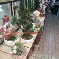 بازار گل