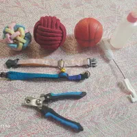 کیف گربه|لوازم جانبی حیوانات|تبریز, |دیوار