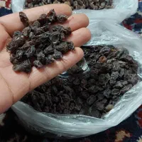 کشمش|عمدهفروشی|محمدیه-قزوین, |دیوار