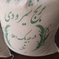 برنج شیرودی