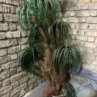 گلدان مصنوعی نخل