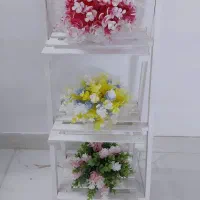 گل کنار سالنی