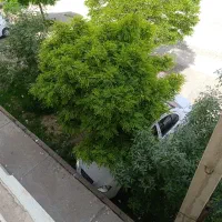 320-متر-ملک-جهت-درمانگاه