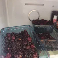 شاتوت دستچین شده خیلی خوشمزه  علاوه تر