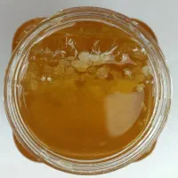 عسل طبیعی گون