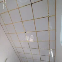 مرکز پخش سقف کاذب تایل گچی و پی وی سی|خدمات پیشه و مهارت|زابل, |دیوار