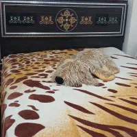 سرویس خواب