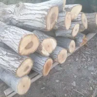 برشکار اره فلکه چوب بری