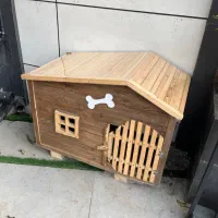 لانه سگ خانه سگ