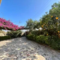 ۲ واحد ویلا باغ مبله حیاط دار  با ورودی مجزا|فروش خانه و ویلا|کتالم و سادات شهر, |دیوار