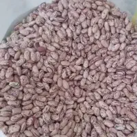 لوبیاقرمز کیلویی ۱۰۰تومان چیتی ۲۰۰عدس ۱۰۰نخود۱۱۰|خوردنی و آشامیدنی|پاکدشت, پاکدشت (مامازند)|دیوار