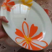 ظروف آشپزخانه|ظروف سرو و پذیرایی|یاسوج, |دیوار