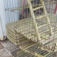 قفس حیوانات|لوازم جانبی حیوانات|صومعه‌سرا, |دیوار