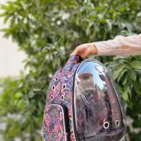 کوله حمل طرحدار گربه سگ و پرنده و طوطی|لوازم جانبی حیوانات|شیراز, شهرک والفجر|دیوار