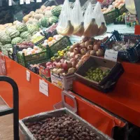 واگذاری مغازه میوه فروشی زیباشهر|اجارهٔ مغازه و غرفه|محمدیه-قزوین, |دیوار