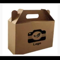 کار در کارتن سازی