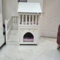 لانه سگ و گربه