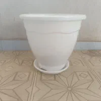 گلدان
