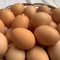 تخم مرغ محلی