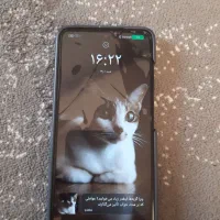 گمشده کارت بانکی