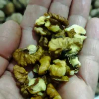 گردو سراب کرند موجوداست