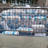 نیروی کار آقا برای کارخانه یکبار مصرف