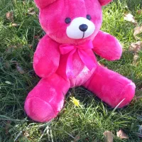 دوره کامل عروسک سازی برای اولین بار در قاین|خدمات آموزشی|قائن, |دیوار