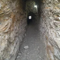 مغنی چاه کن  وهمه  کار|خدمات پیشه و مهارت|کبودرآهنگ, |دیوار