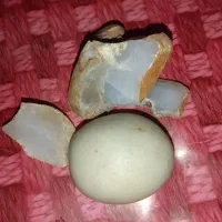 سنگ قیمتی|کلکسیون اشیاء عتیقه|فیروزآباد (فارس), |دیوار