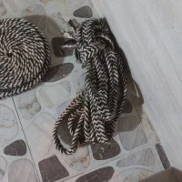 رسن ۵۰۰ هزار