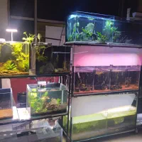 لوازمات اکواریوم