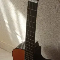 گیتار دیاموند