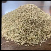 برنج درجه یک گیلانی|خوردنی و آشامیدنی|حویق, |دیوار