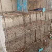 جفتگاه|لوازم جانبی حیوانات|جهرم, |دیوار