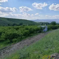 باغ سیب|فروش زمین و ملک کلنگی|مشگین شهر, |دیوار