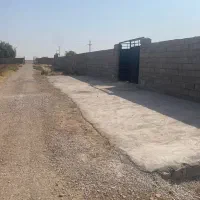 فروش ۱۰۰۰ متری روی  جاده اصلی بنوار شامی
