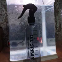 آکواریوم ، لوازم آکواریوم ، ماهی فایتر|ماهی|رشت, بازار|دیوار