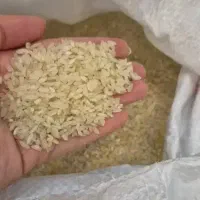 برنج کامفیروزی|خوردنی و آشامیدنی|شیراز, گویم|دیوار