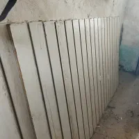 رگال شیاردار