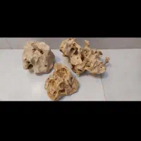 سنگ دکور و صخره اکواریوم|ماهی|نسیم‌شهر, |دیوار